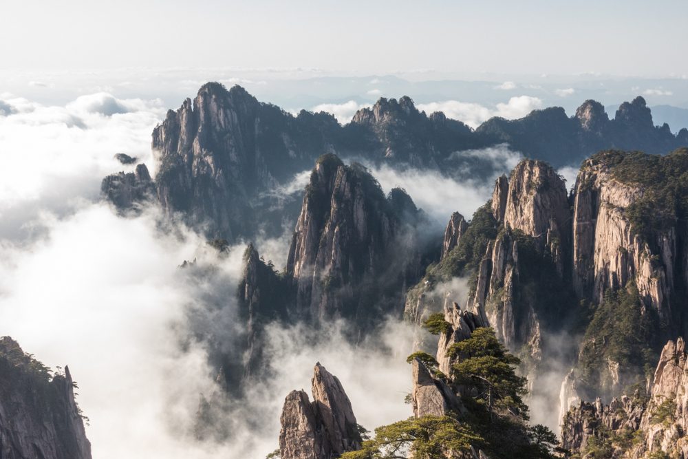 Huang Mountain peaks above the signature sea of cloud